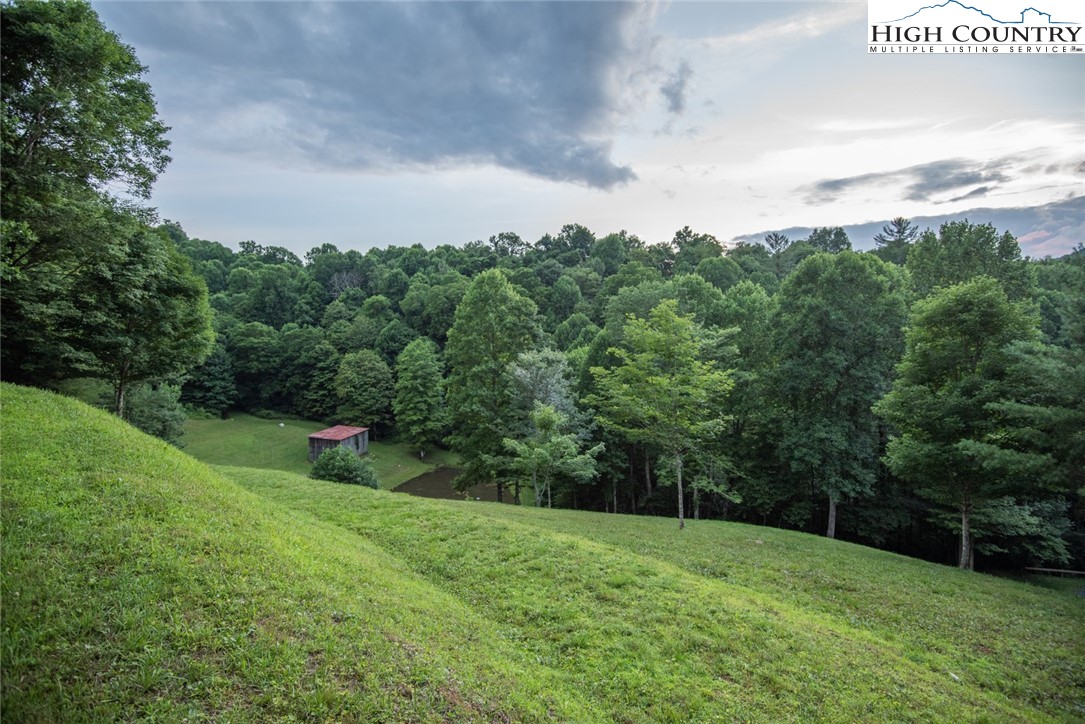 1195 Long Branch Road Lansing, NC 28643 - Photo 31 of 31 a view of a big yard with a garden