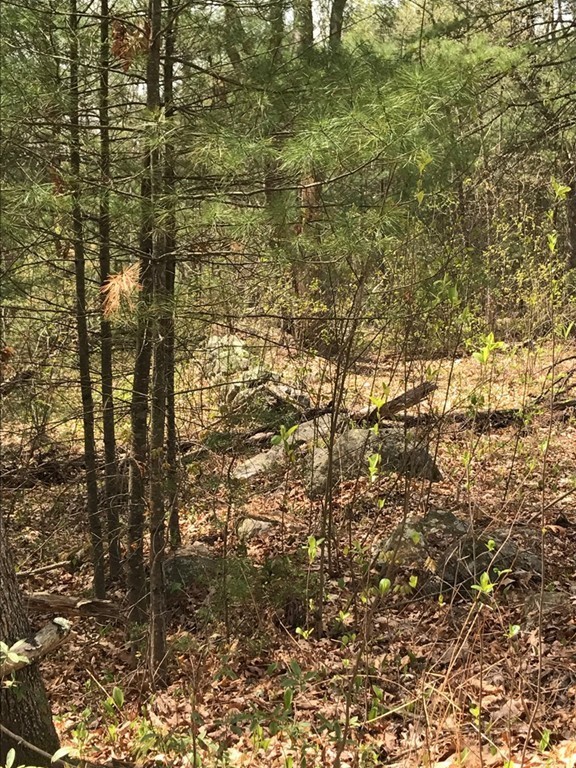 Lot 1 Old Poor Farm Road Ware, MA 01082 - Photo 7 of 13 Gallery Image 7