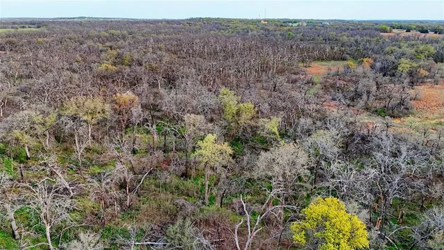 a view of outdoor space and trees