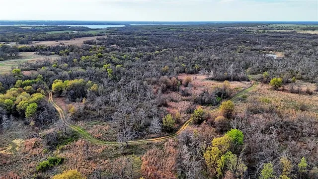 a view of a park with large trees