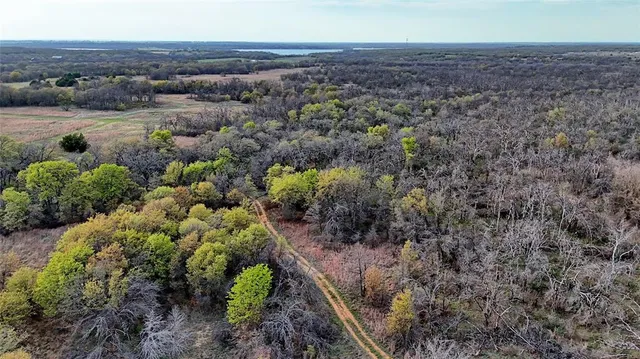 a view of a big yard with lots of trees