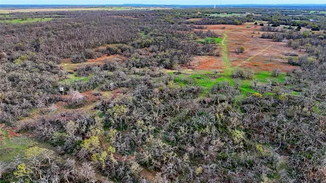 a view of a big yard with lots of green space