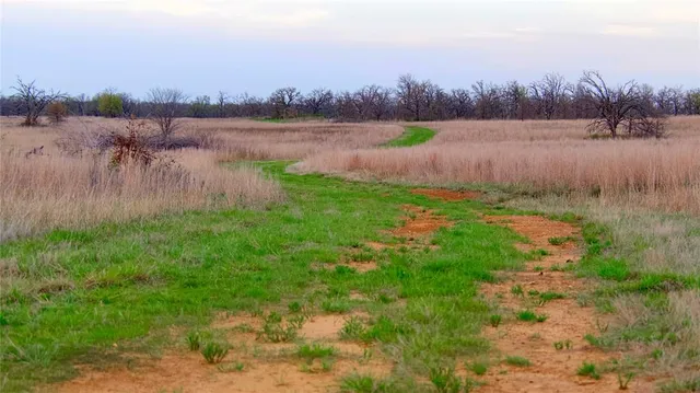 a view of a garden with a lake