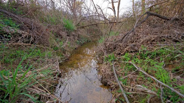 a backyard of a house with a yard and outdoor seating