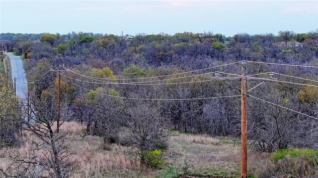 a view of a big yard with lots of green space