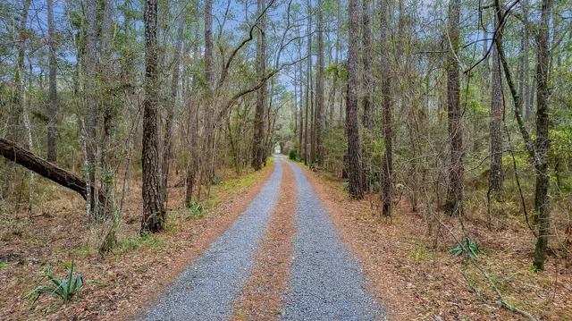 $185,000 | 8 Savannah Highway, Adams Run, SC 29426