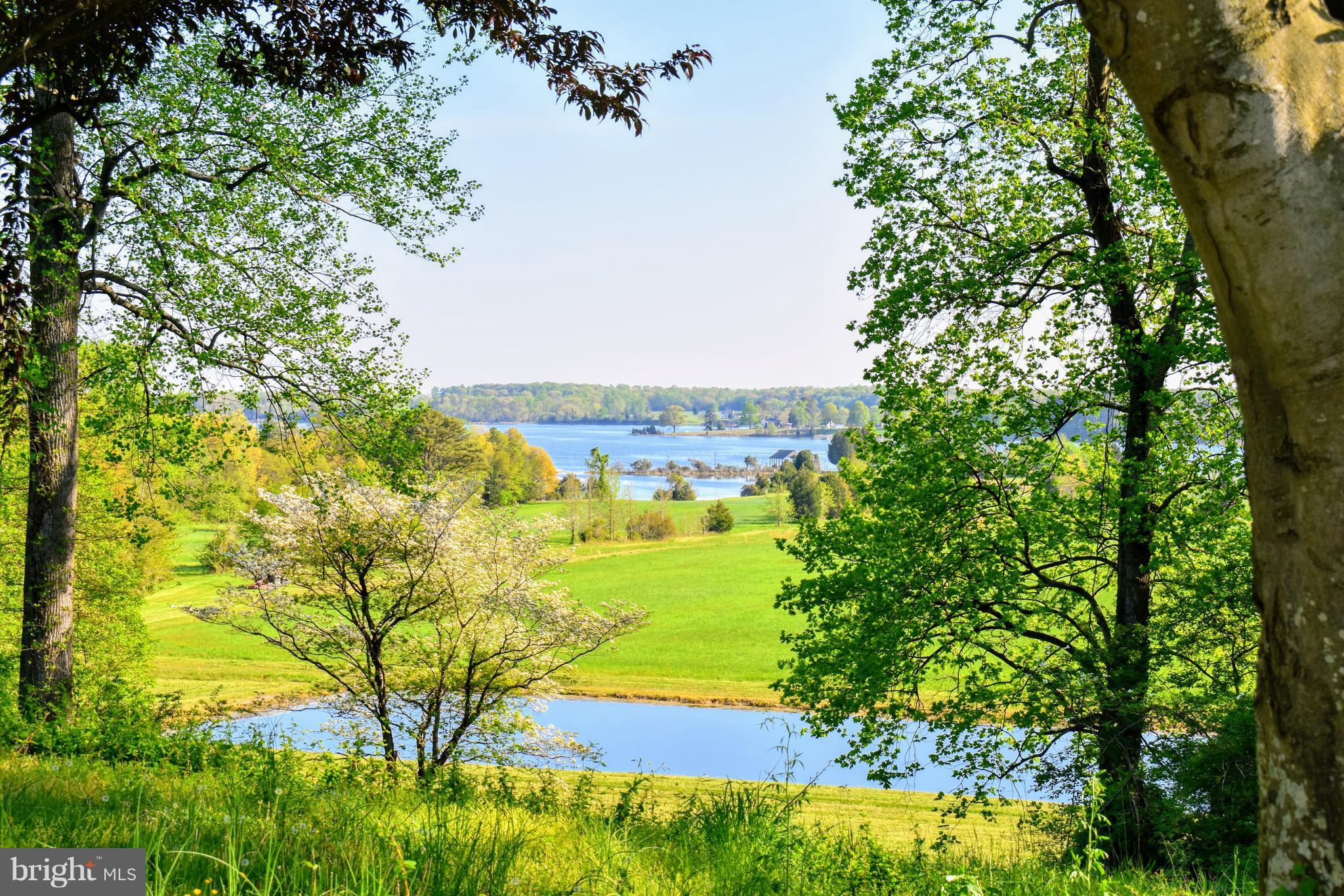 18641 Point Lookout Road Park Hall, MD 20667 - Photo 40 of 40 View of the St. Mary's River and pond