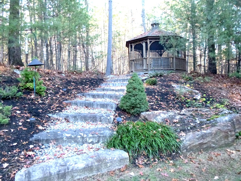 175 Robinson Road Boxborough, MA 01719 - Photo 26 of 30 a view of a back yard with plants and large trees
