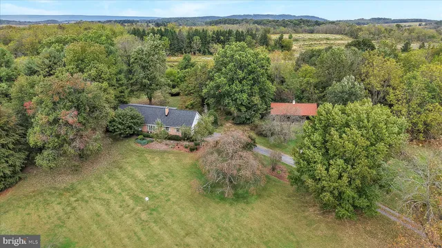 a view of a forest with a lake