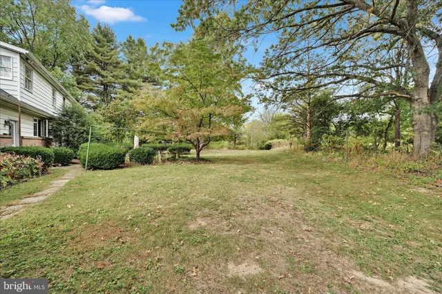 a view of a field with some trees