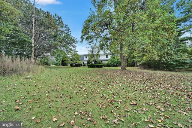 a view of a yard with plants and trees