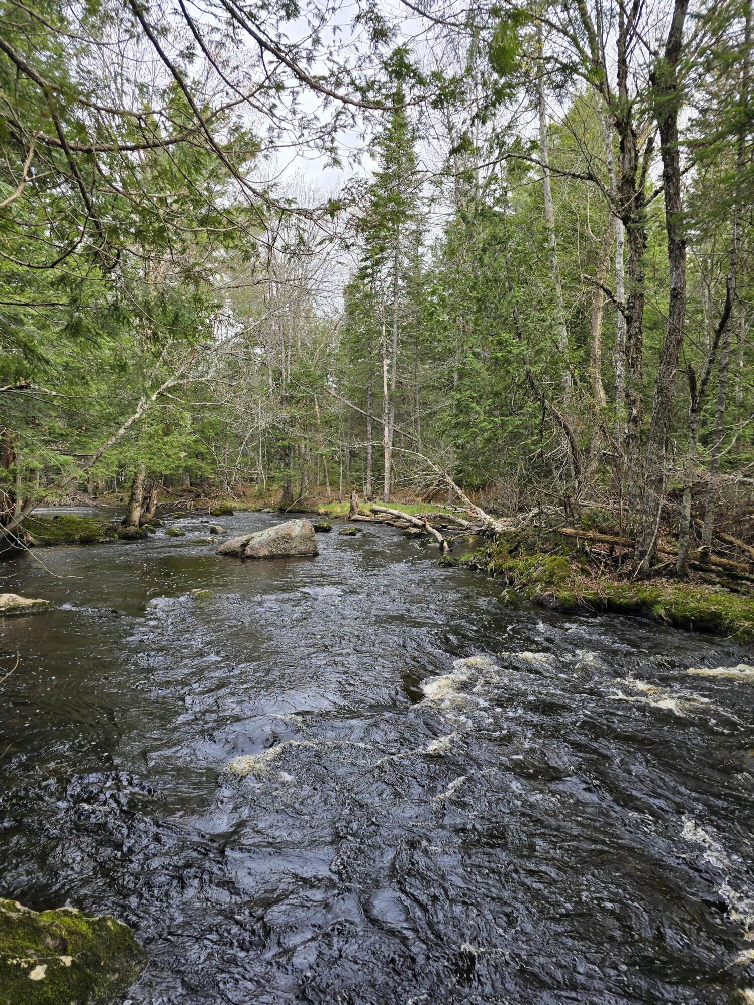 1623 Lyford Road Milo, ME 04463 - Photo 10 of 14 20250508_090913