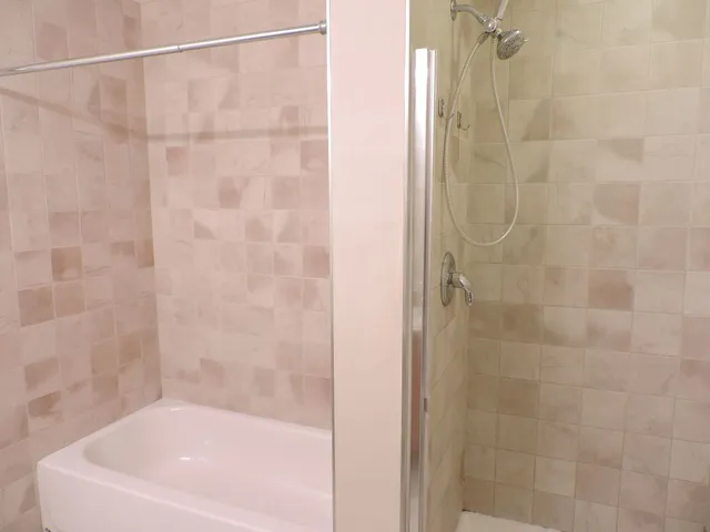 a bathroom with a shower and a bath tub