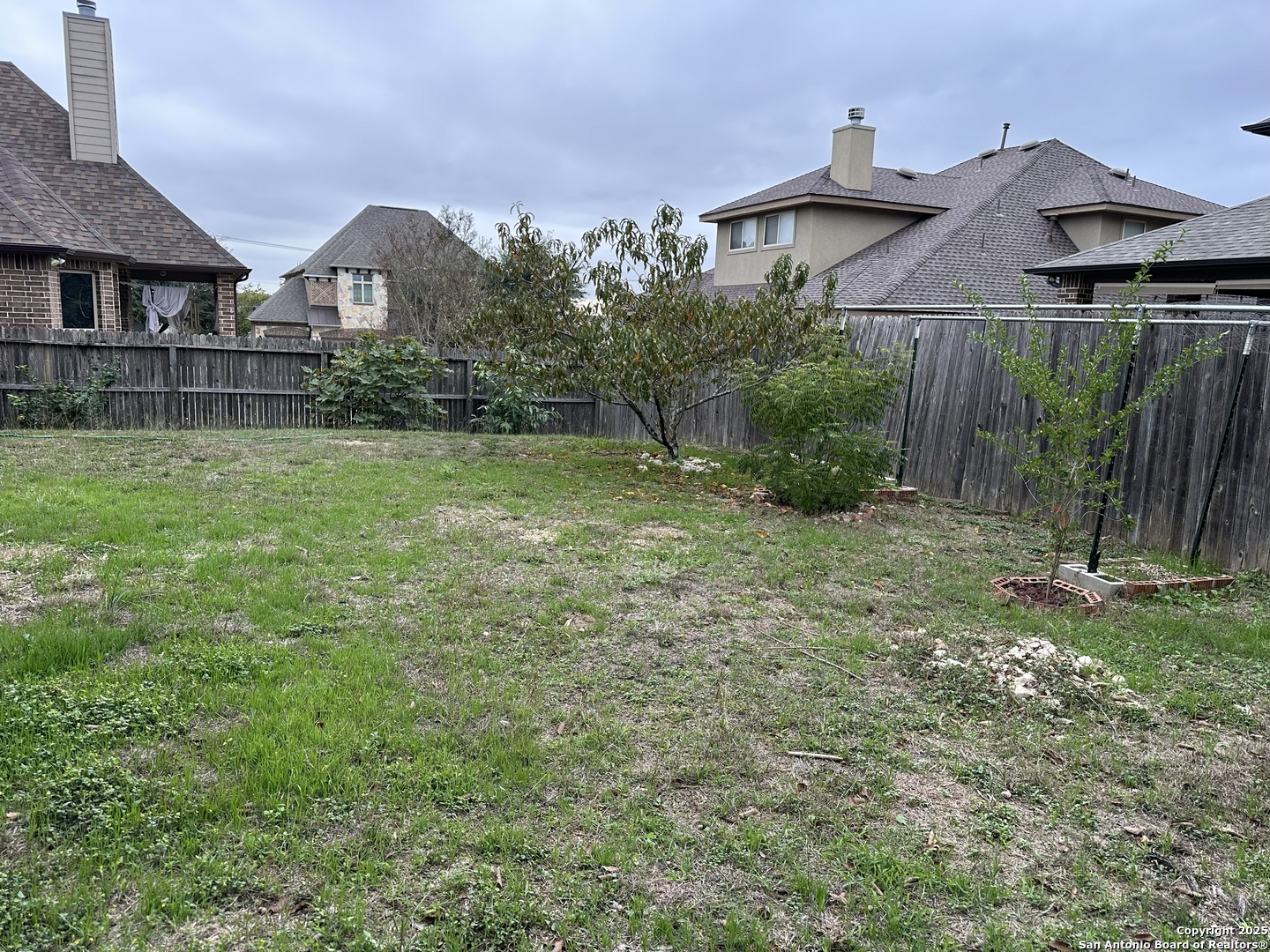 24507 Chianti Way San Antonio, TX 78260 - Photo 24 of 26 a view of a yard in front of a house