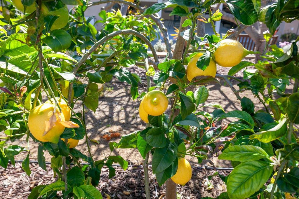 3326 Monroe Street Carlsbad, CA 92008 - Photo 35 of 63