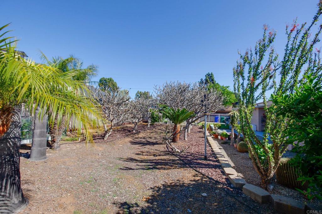 3326 Monroe Street Carlsbad, CA 92008 - Photo 37 of 63 a view of a yard with plants