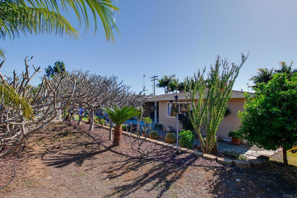 3326 Monroe Street Carlsbad, CA 92008 - Photo 38 of 63 a view of a backyard with plants and palm trees