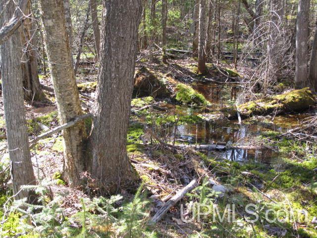 22405 Webb Road Grand Marais, MI 49839 - Photo 26 of 32 Gallery Image 26