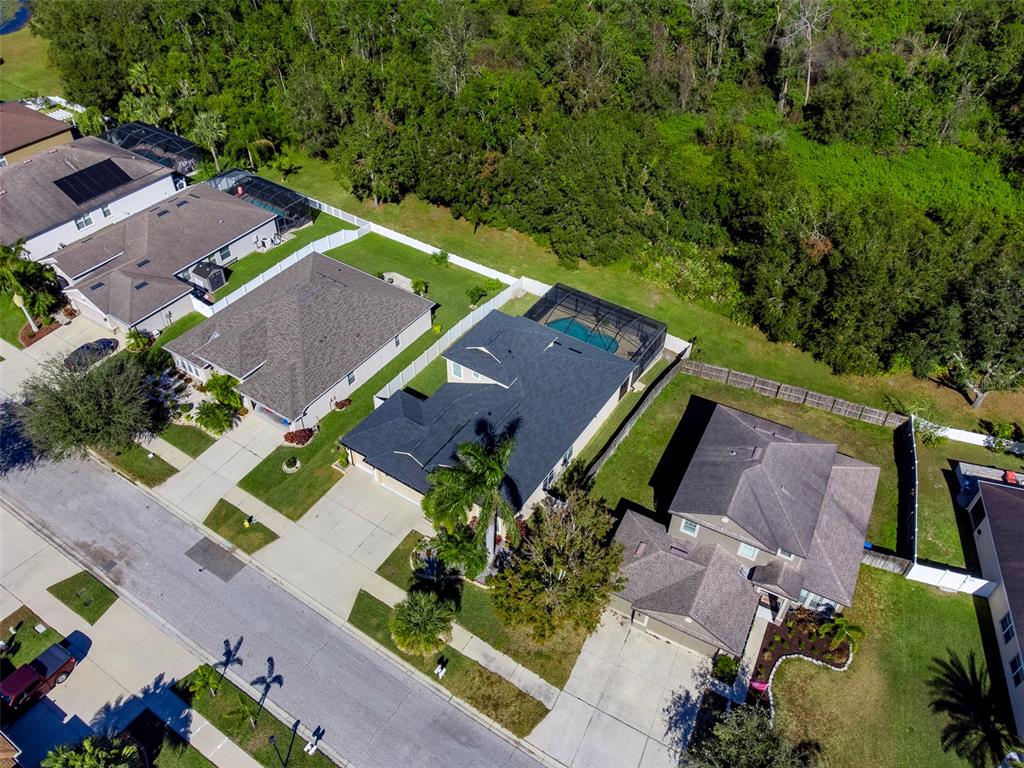 11005 Rockledge View Drive Riverview, FL 33579 - Photo 34 of 51