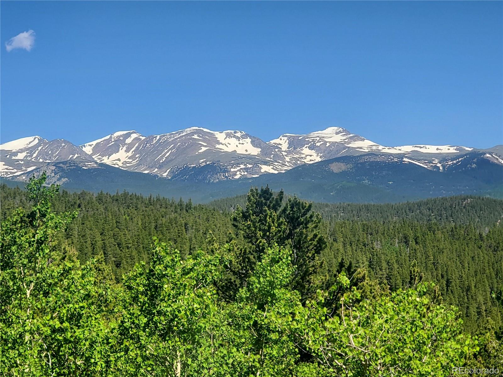 1 South Spring Gulch Road Idaho Springs, CO 80452 - Photo 1 of 15 a view of a yard