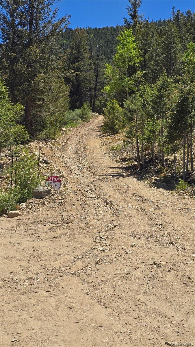 1 South Spring Gulch Road Idaho Springs, CO 80452 - Photo 11 of 15 a view of a yard with trees