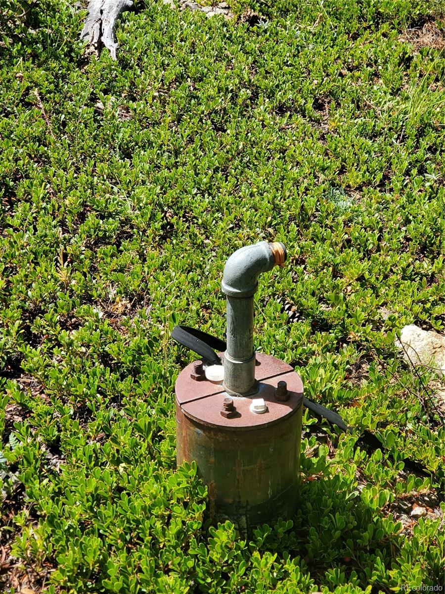 1 South Spring Gulch Road Idaho Springs, CO 80452 - Photo 13 of 15 a view of a garden with a fountain