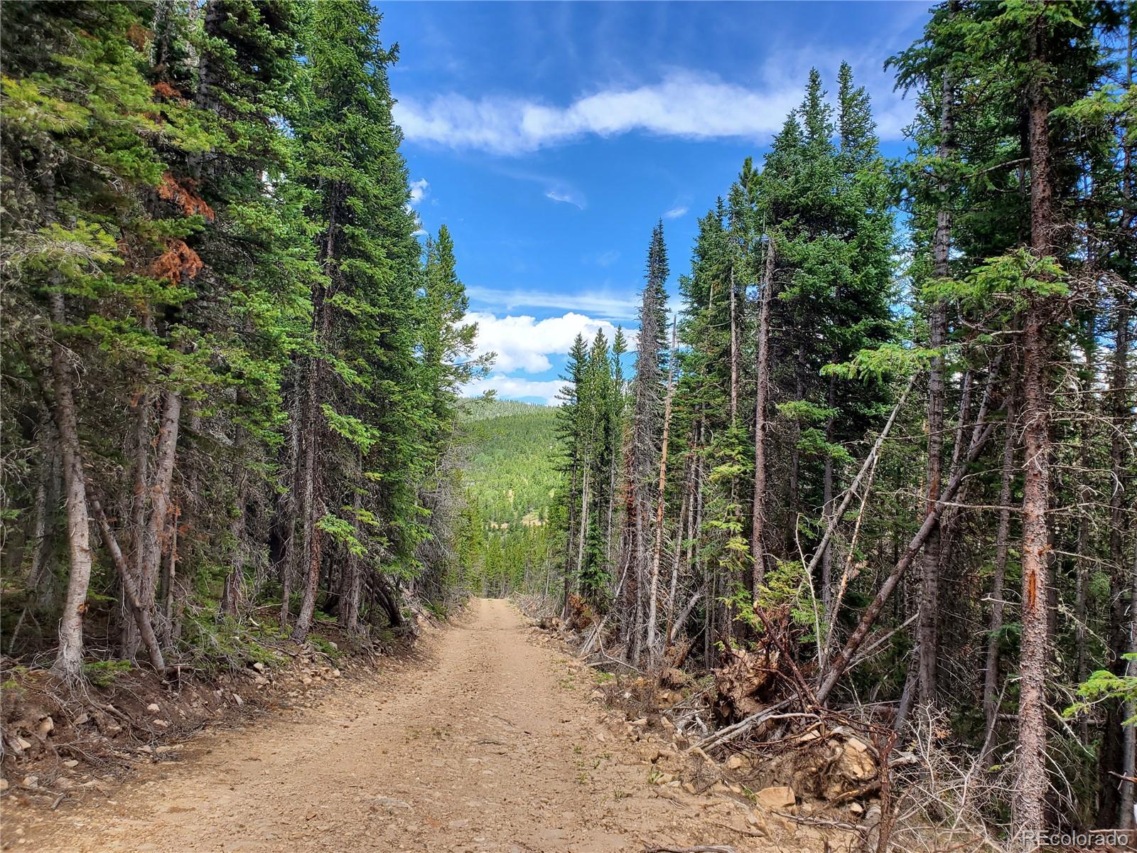 1 South Spring Gulch Road Idaho Springs, CO 80452 - Photo 2 of 10 a view of a yard with plants and trees