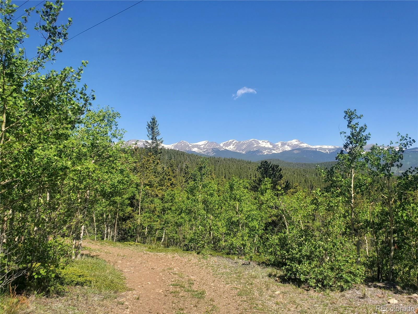 1 South Spring Gulch Road Idaho Springs, CO 80452 - Photo 4 of 15 a view of a green field with lots of bushes