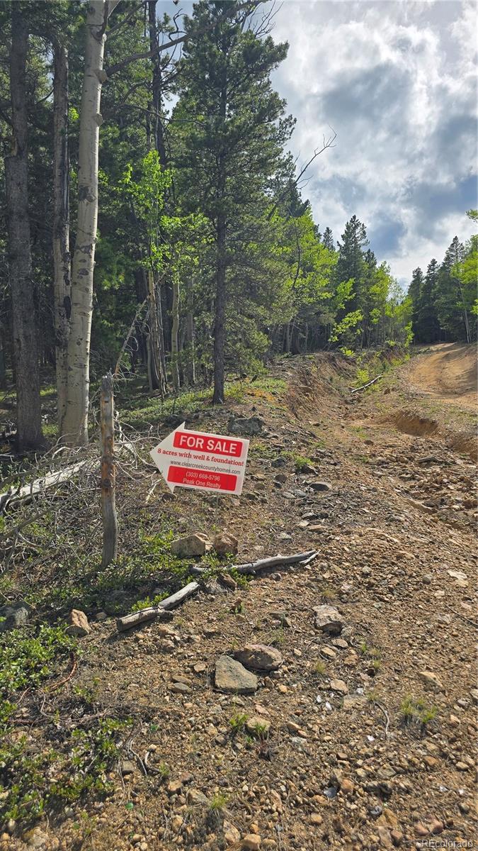 1 South Spring Gulch Road Idaho Springs, CO 80452 - Photo 6 of 15 a view of a outdoor space
