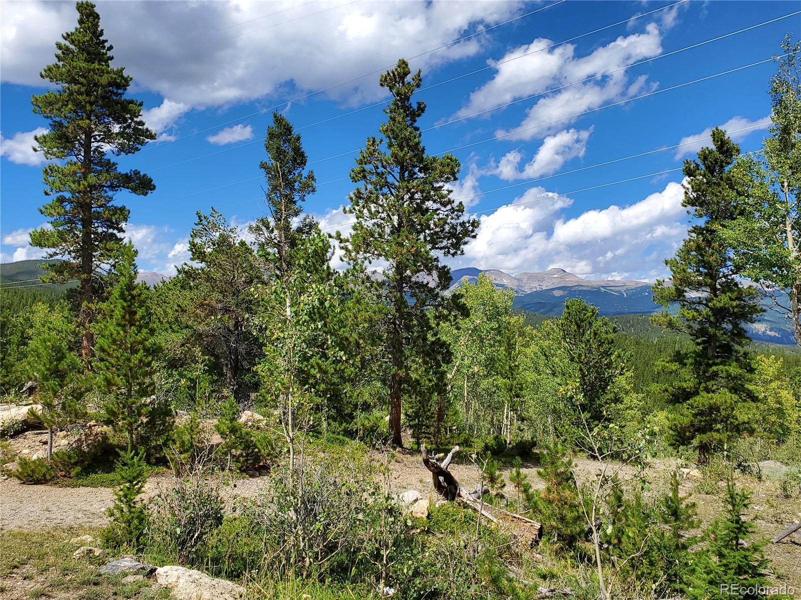 1 South Spring Gulch Road Idaho Springs, CO 80452 - Photo 7 of 15