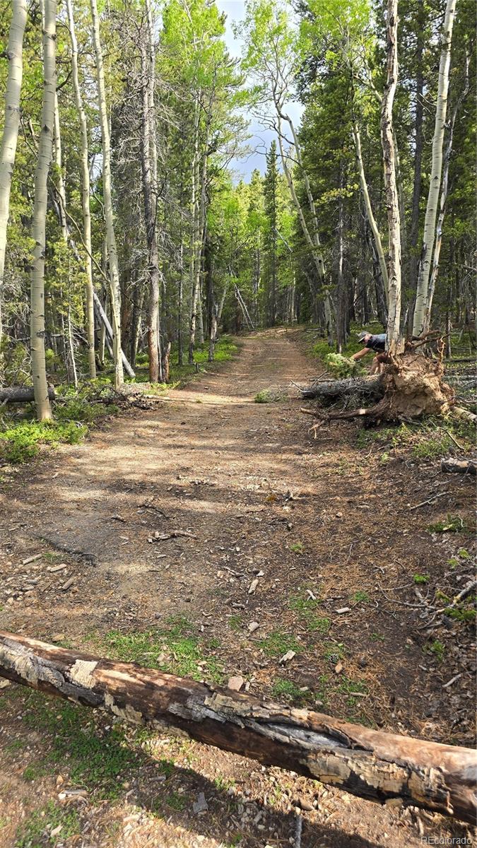1 South Spring Gulch Road Idaho Springs, CO 80452 - Photo 8 of 10 a backyard of a house with lots of green space