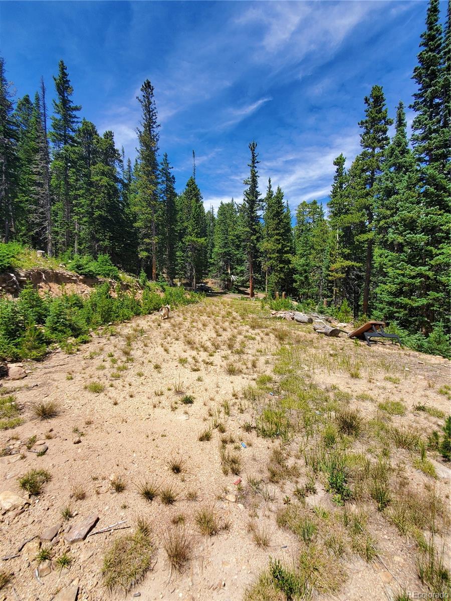 1 South Spring Gulch Road Idaho Springs, CO 80452 - Photo 9 of 15 a view of a yard with a house