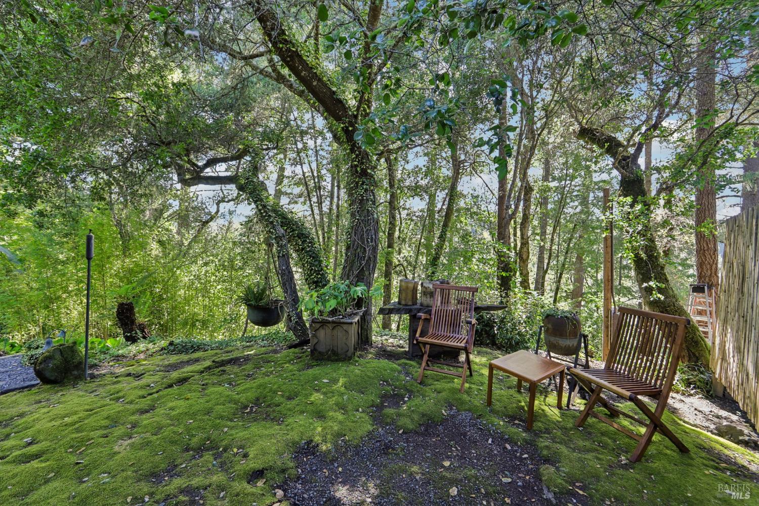 2515 Stepps Road Sebastopol, CA 95472 - Photo 43 of 93