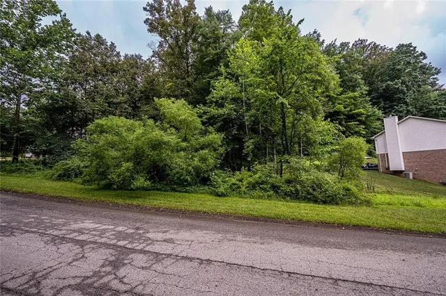 a view of a yard with plants and trees