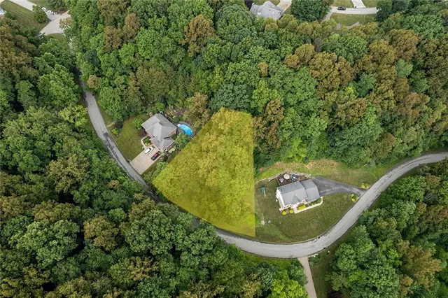 an aerial view of a residential houses with outdoor space and trees