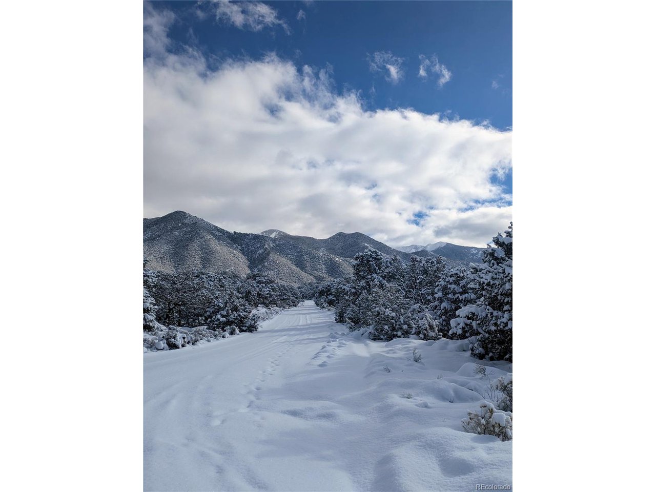 1951 Lone Pine Way Crestone, CO 81131 - Photo 11 of 15 a view of a yard
