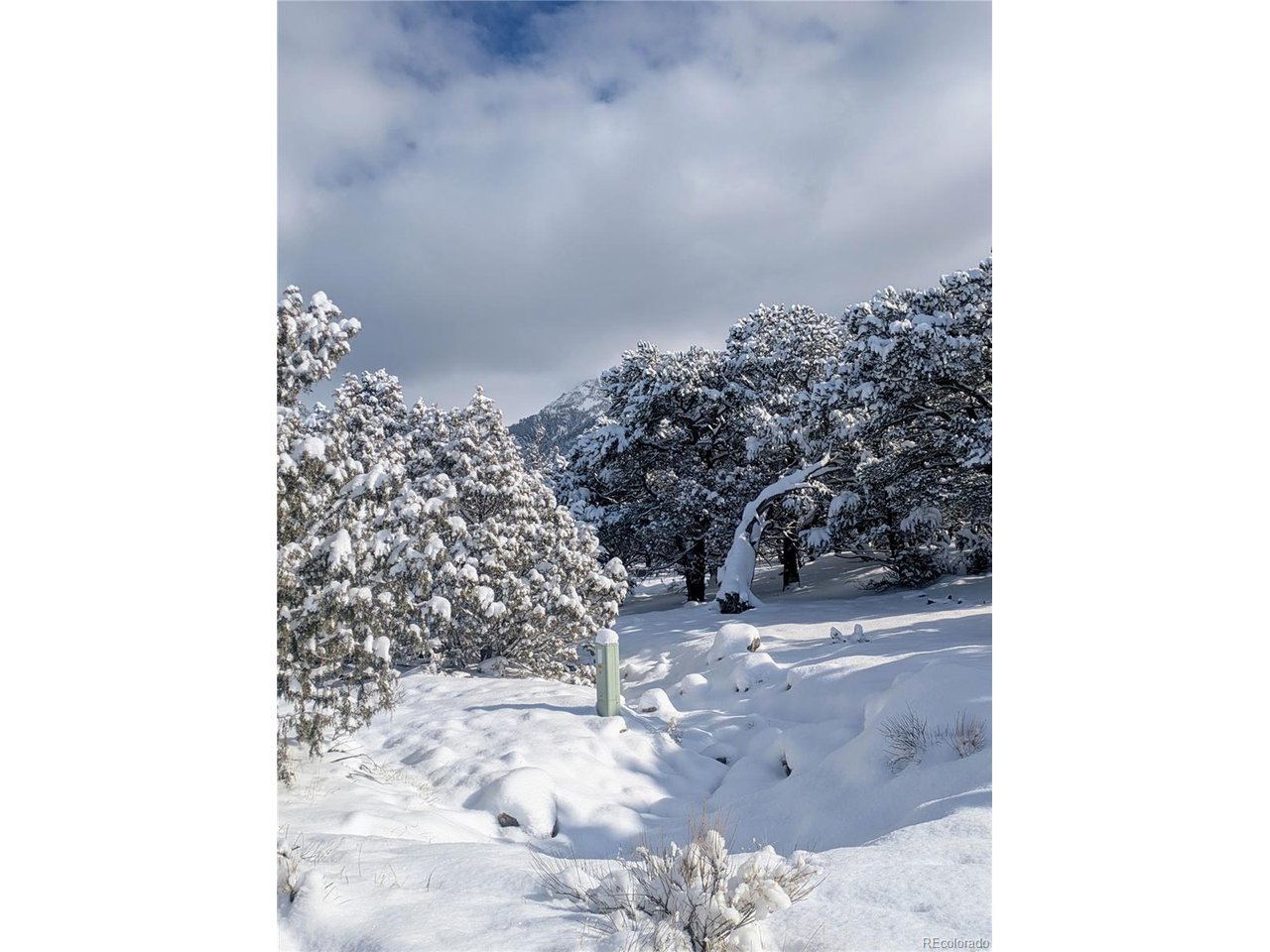 1951 Lone Pine Way Crestone, CO 81131 - Photo 13 of 15 a view of lot of window