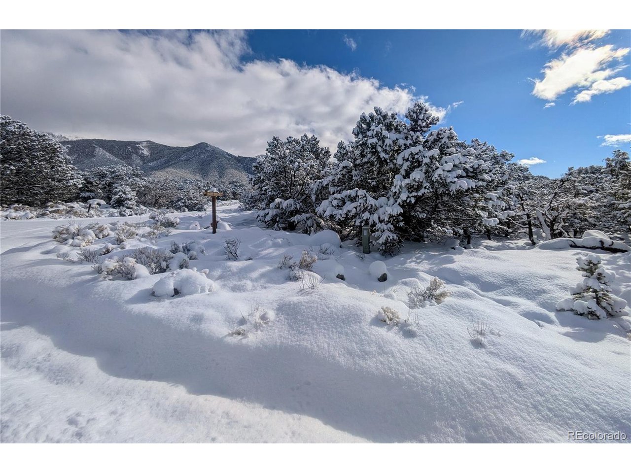 1951 Lone Pine Way Crestone, CO 81131 - Photo 15 of 15 a view of a dry yard covered in snow
