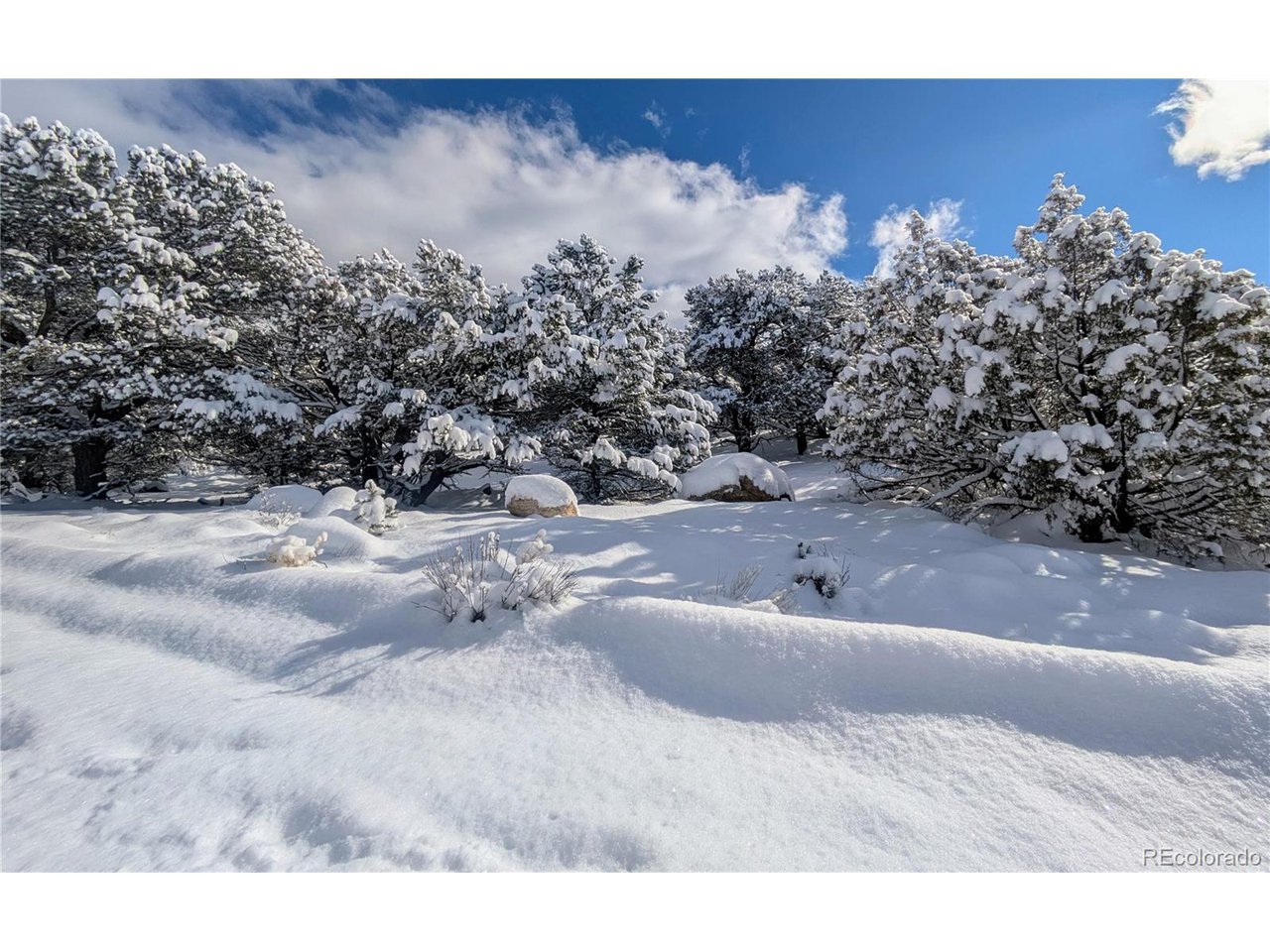 1951 Lone Pine Way Crestone, CO 81131 - Photo 9 of 15