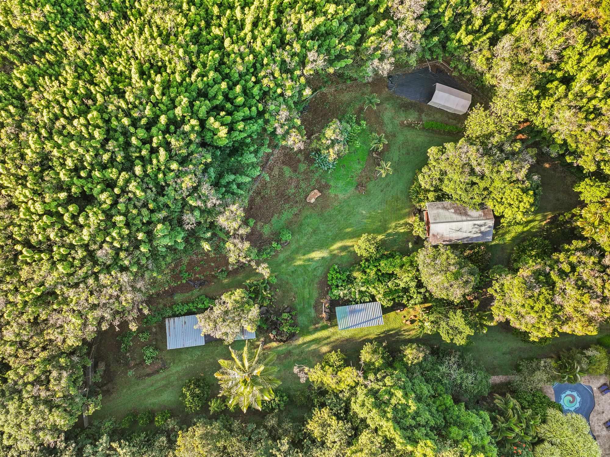 1055 Kaupakalua Road Haiku, HI 96708 - Photo 18 of 46