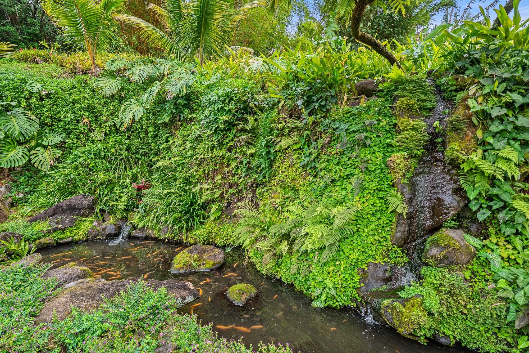 1055 Kaupakalua Road Haiku, HI 96708 - Photo 38 of 46