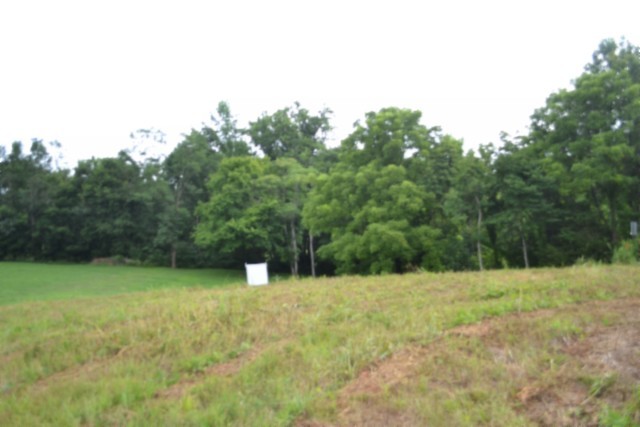 0 Pea Ridge Fire Tower Road Celina, TN 38551 - Photo 46 of 59