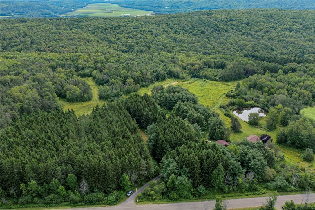 10086 Flaherty Road Prattsburgh, NY 14873 - Photo 49 of 50