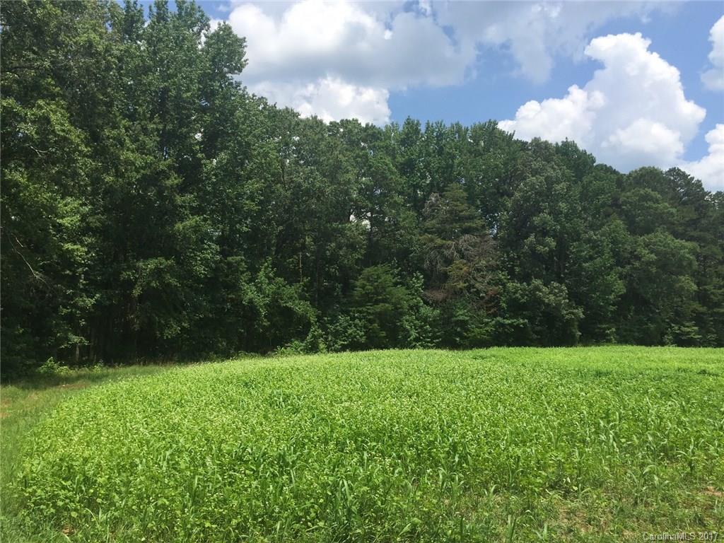 0 Basinger Road Richfield, NC 28137 - Photo 8 of 23 Gallery Image 8