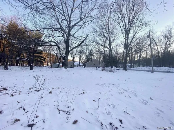 a view of outdoor space yard and trees