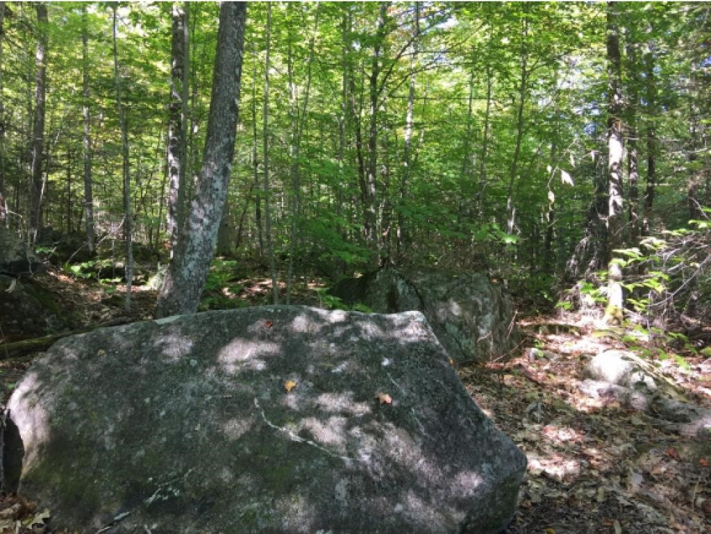 36.2 Gilmanton Hill Road Bethlehem, NH 03574 - Photo 1 of 17