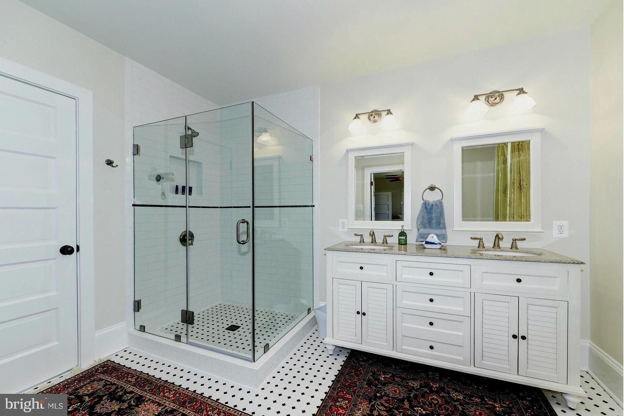 4048 Rectortown Road Marshall, VA 20115 - Photo 23 of 30 a bathroom with a shower a sink and a mirror