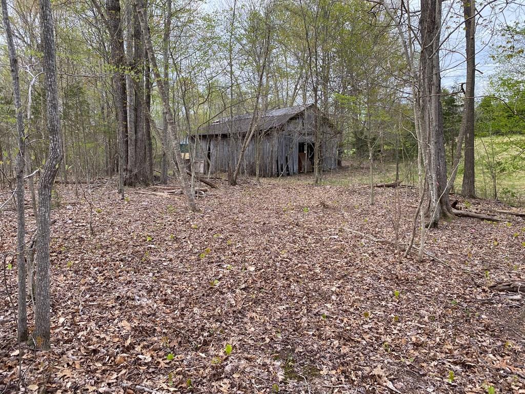 50-ac 50-ac Anderson Road Breeding, KY 42715 - Photo 7 of 24 Gallery Image 7