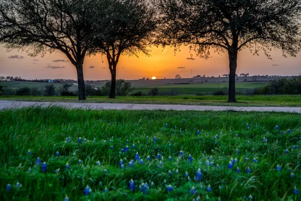 $2,995,000 | 20383 State Highway 159 West, New Ulm, TX 78950