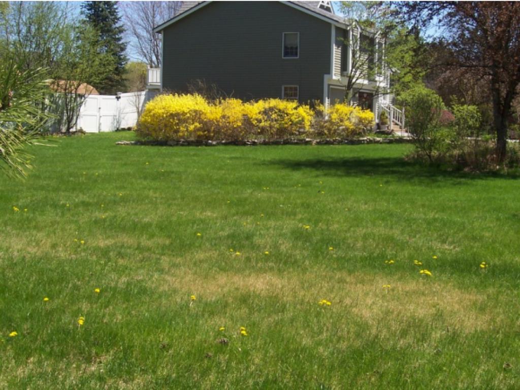 12 Bayview Terrace Road Hooksett, NH 03106 - Photo 5 of 11